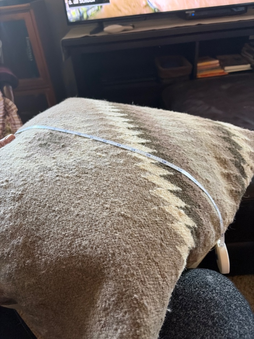 Pottery Barn Pillows - Picture 5 of 12